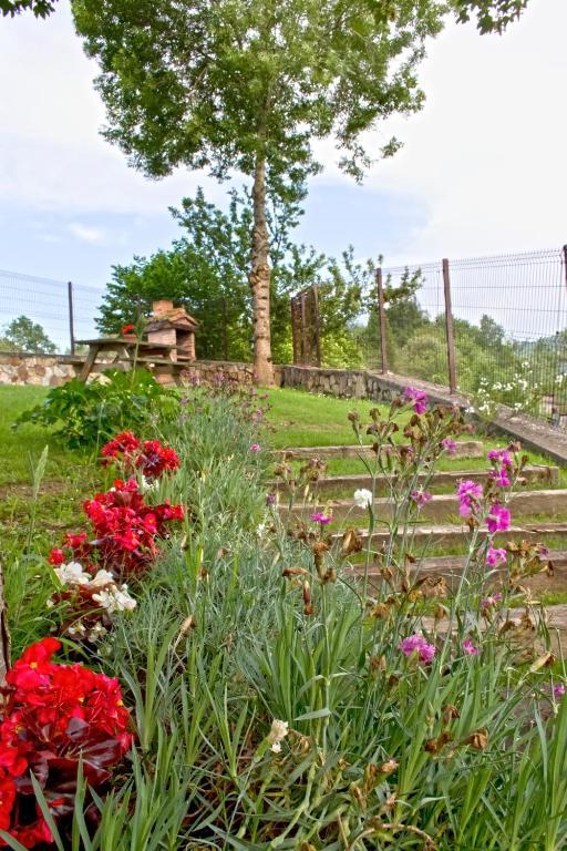 Apartamentos El Picoretu เมสตัส เด กอน ห้อง รูปภาพ